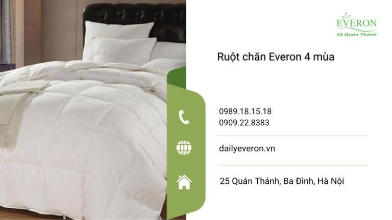 Tìm Hiểu Ruột Chăn Everon 4 Mùa
